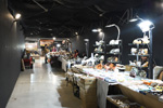 Bologna Mineral Show 2025