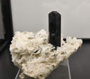 Bologna Mineral Show 2025