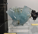 Bologna Mineral Show 2025