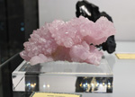 Bologna Mineral Show 2025