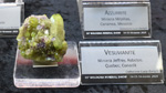 Bologna Mineral Show 2025