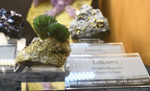 Bologna Mineral Show 2025