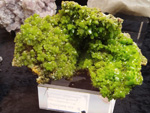 Bologna Mineral Show 2025