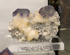 Bologna Mineral Show 2025