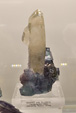 Bologna Mineral Show 2025