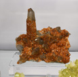 Bologna Mineral Show 2025