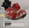 Bologna Mineral Show 2025