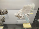Bologna Mineral Show 2025