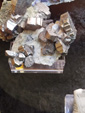 Bologna Mineral Show 2025