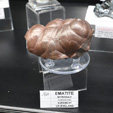 Bologna Mineral Show 2025
