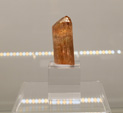 Bologna Mineral Show 2025