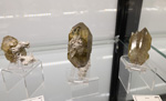 Bologna Mineral Show 2025