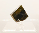 Bologna Mineral Show 2025