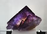 Bologna Mineral Show 2025