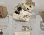 Bologna Mineral Show 2025