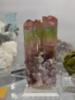 Bologna Mineral Show 2025