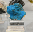 Bologna Mineral Show 2025