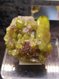 Bologna Mineral Show 2025