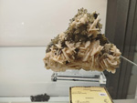 Bologna Mineral Show 2025