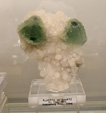 Bologna Mineral Show 2025