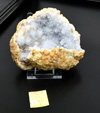 Bologna Mineral Show 2025