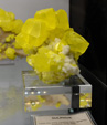 Bologna Mineral Show 2025