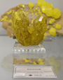 Bologna Mineral Show 2025