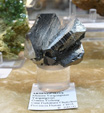 Bologna Mineral Show 2025