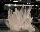 Bologna Mineral Show 2025