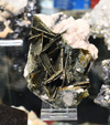 Bologna Mineral Show 2025