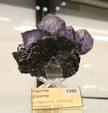 Bologna Mineral Show 2025