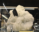 Bologna Mineral Show 2025