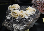 Bologna Mineral Show 2025