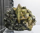 Bologna Mineral Show 2025