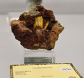 Bologna Mineral Show 2025
