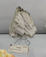 Bologna Mineral Show 2025