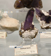 Bologna Mineral Show 2025