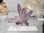 Bologna Mineral Show 2025