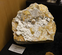 Bologna Mineral Show 2025