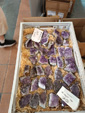  41ª feria de minerales y fósiles de Narbona 