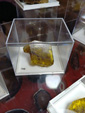  47 Sicily Mineral Show 