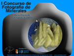 Cartel conmemorativo del evento