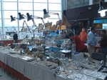 GMM. FIPAL. II Feria de Fósiles, Minerales y Malacología. Alcoy