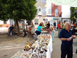 GMA. XXI Feria de Minerales y Fósiles de Monteluz