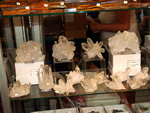 GMA. GEO-CAMPELLO. I Feria de Minerales, Fósiles y Gemas