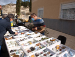 GMA. IV Mesa de Intercambio de Minerales y Fósiles de Alicante. 