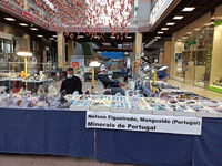 GMA. 8ª Feira de Minerais Santiago de Compostela. 