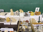 XIII  Feria de Minerales de Colmenar Viejo