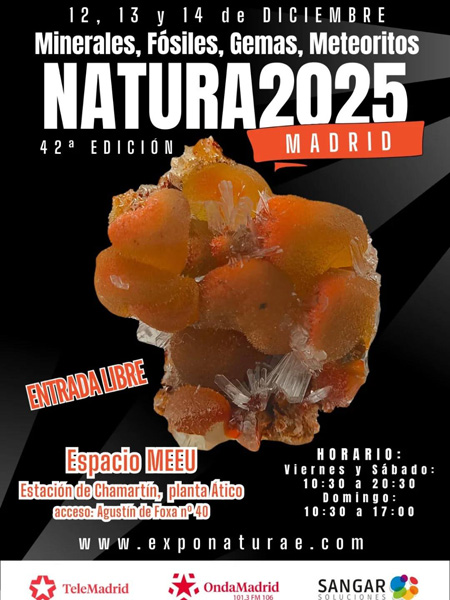 42 Edición Natura Minerales, Fósiles y Gemas