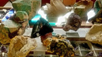 I Feria de Minerales de Pantoja